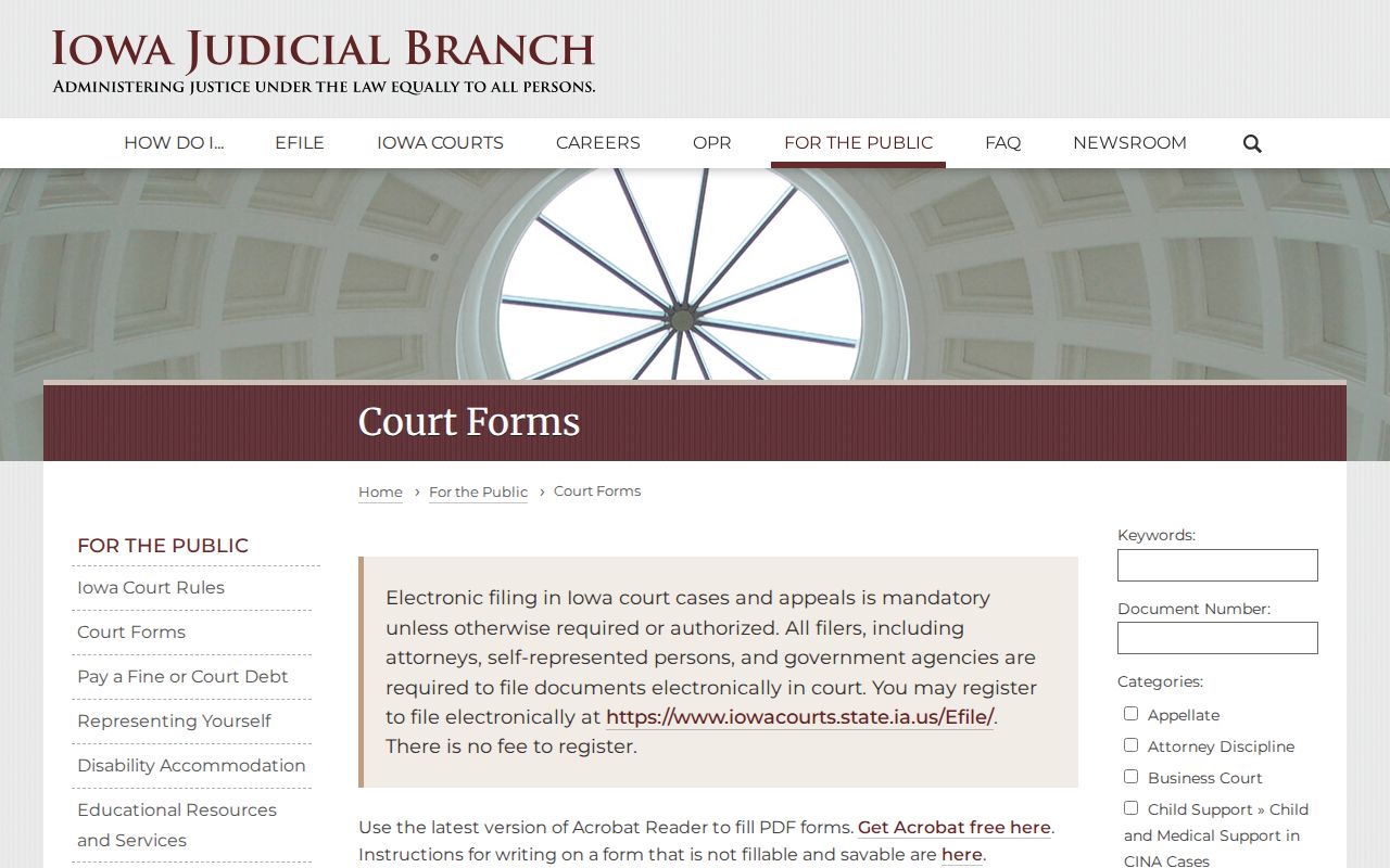 Lyon County arrest record expungement forms